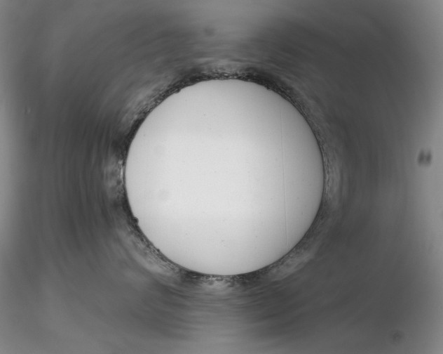 X0000116260624200912211738