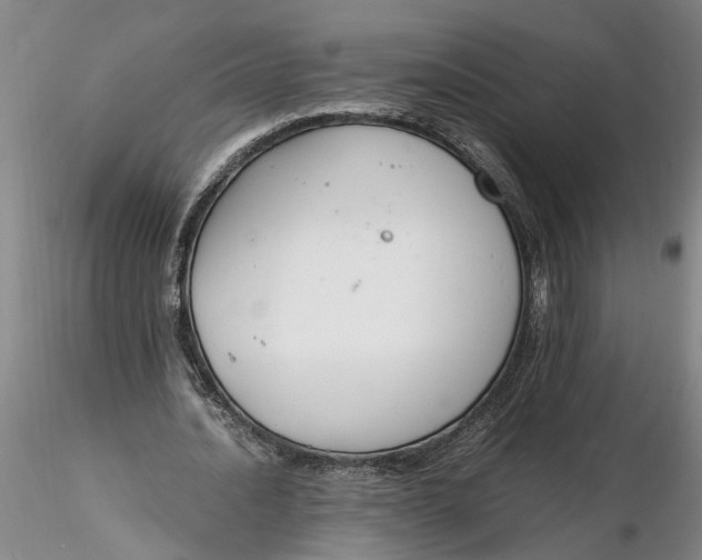 X0000116260628200912211737