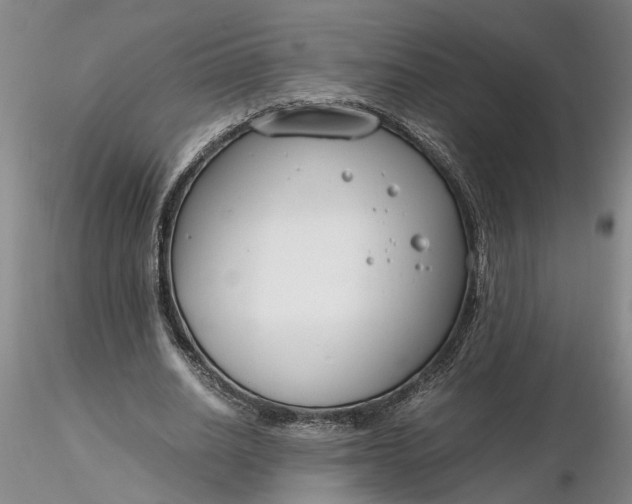 X0000116260630200912211737