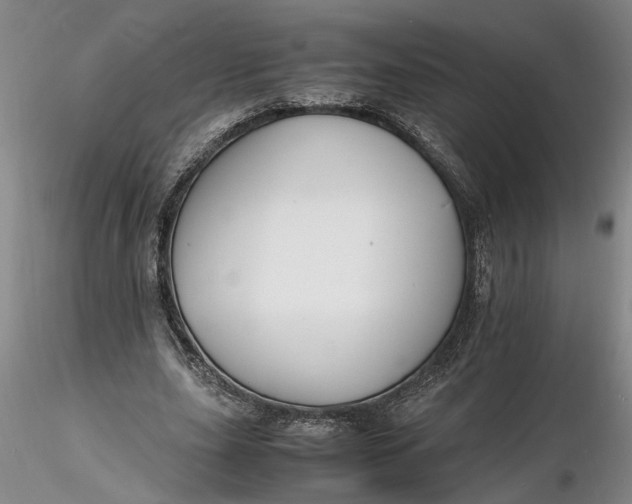 X0000116260631200912211737