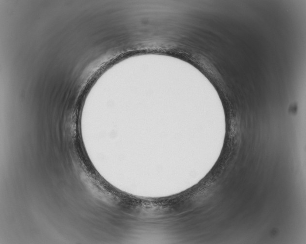 X0000116260632200912211737