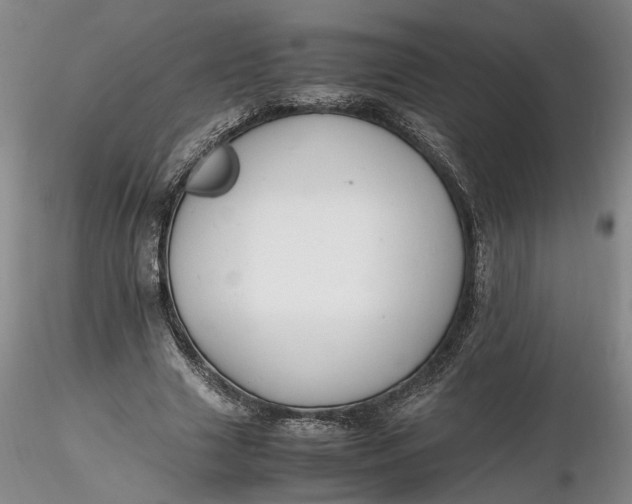 X0000116260633200912211737