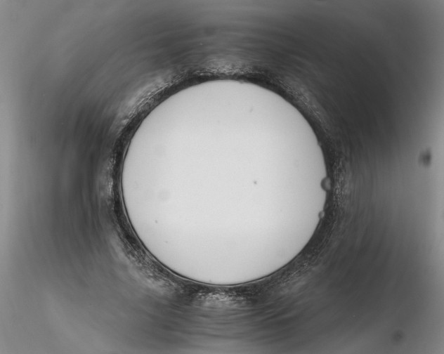 X0000116260635200912211737