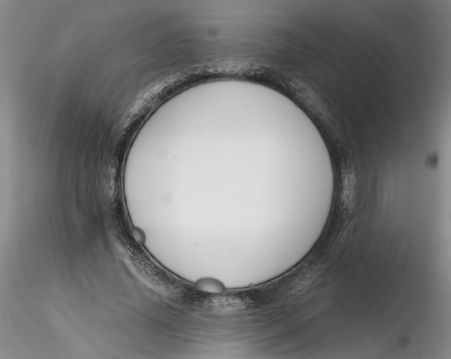 X0000116260636200912211737