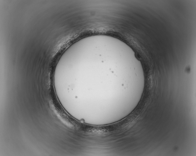 X0000116260638200912211737
