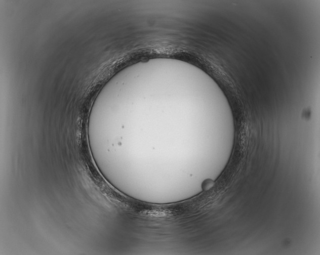 X0000116260639200912211737