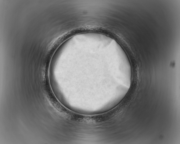 X0000116260640200912211737