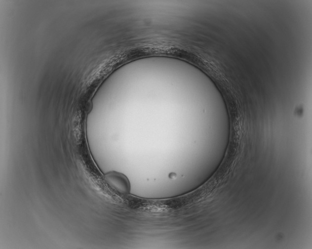 X0000116260642200912211737