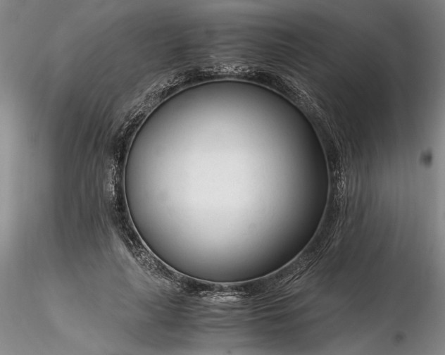 X0000116260643200912211737