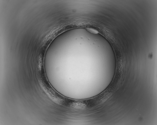 X0000116260644200912211737