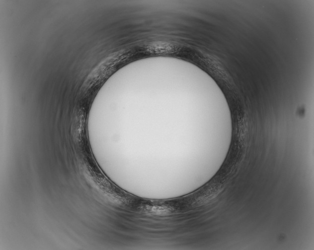 X0000116260645200912211737