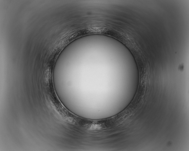 X0000116260647200912211737