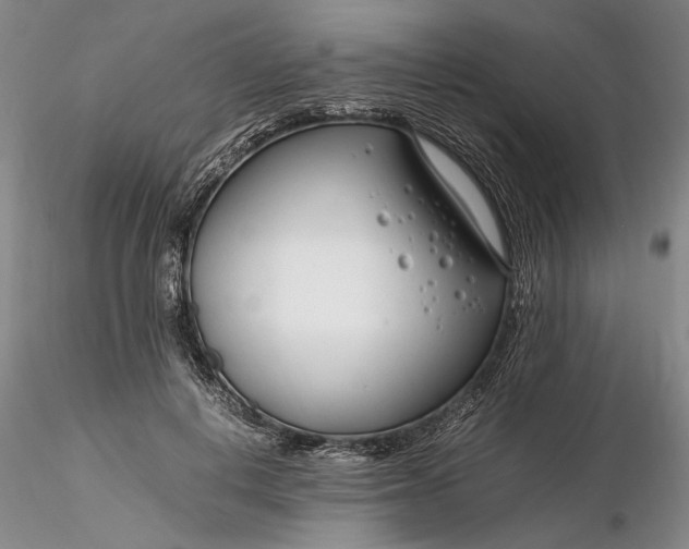 X0000116260648200912211737