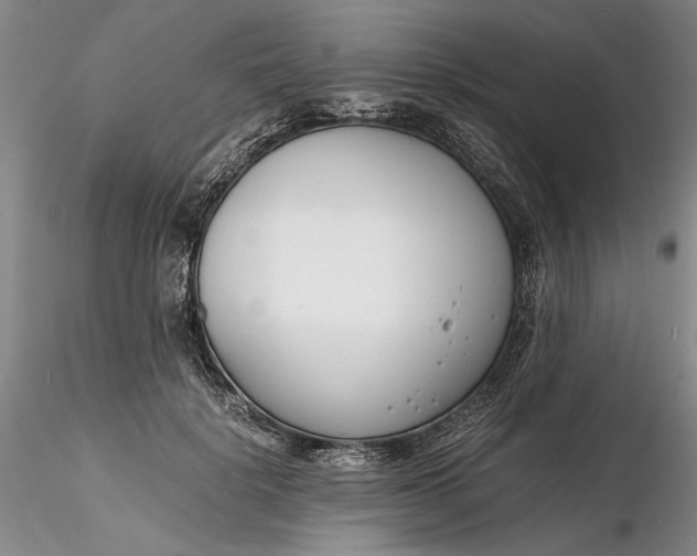 X0000116260652200912211737