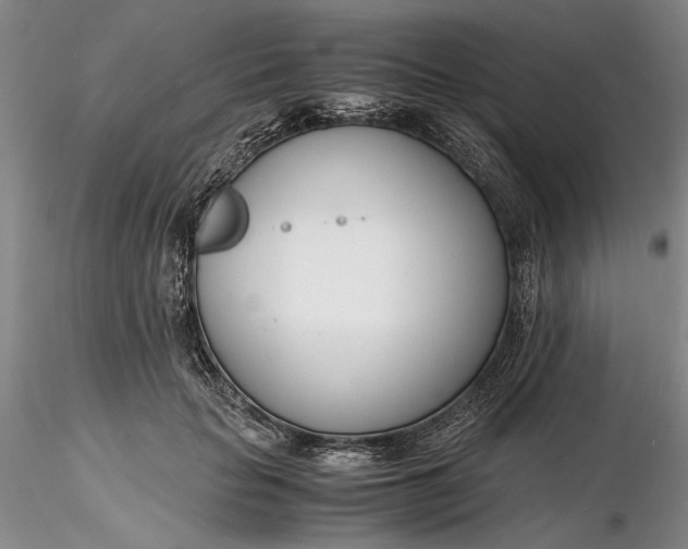 X0000116260653200912211737