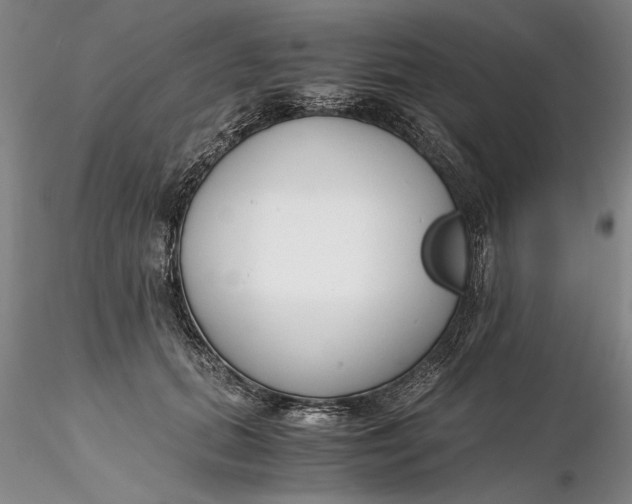 X0000116260655200912211737