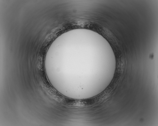 X0000116260656200912211737