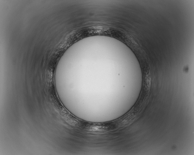 X0000116260657200912211737