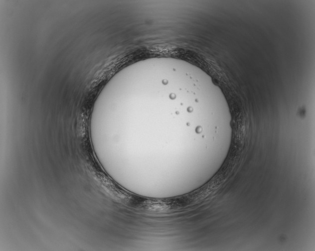 X0000116260658200912211737