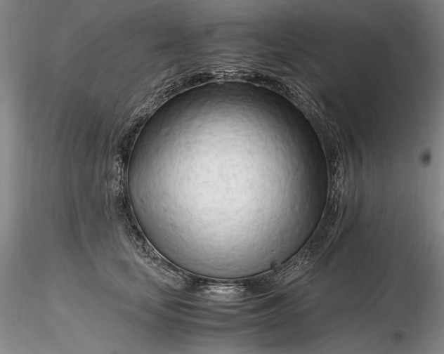 X0000116260659200912211737