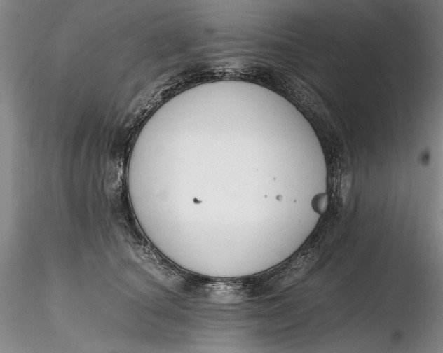 X0000116260660200912211737