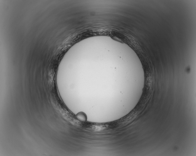 X0000116260662200912211737