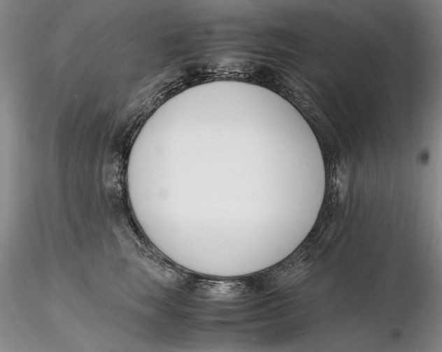 X0000116260663200912211737