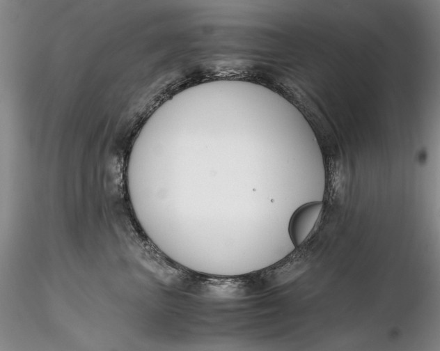 X0000116260667200912211737