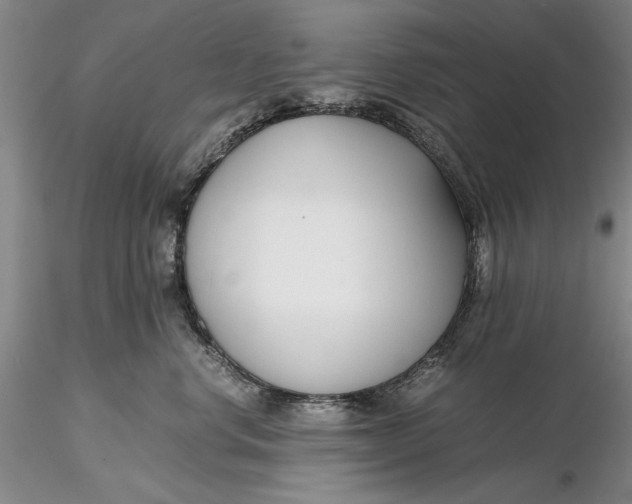 X0000116260668200912211737