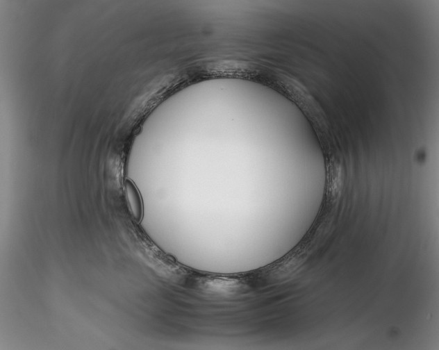 X0000116260669200912211737