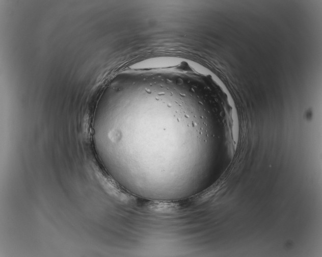 X0000116260670200912211737