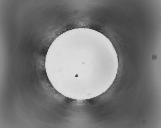 X0000116260672200912211738