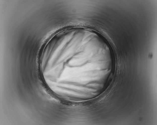 X0000116260674200912211737