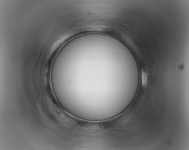 X0000116260675200912211737