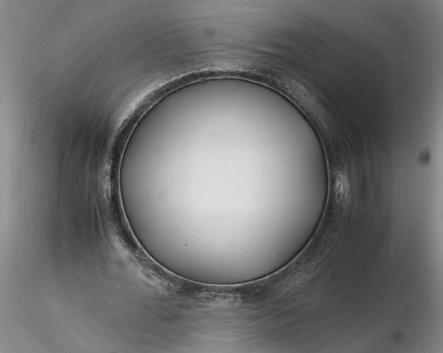 X0000116260676200912211737