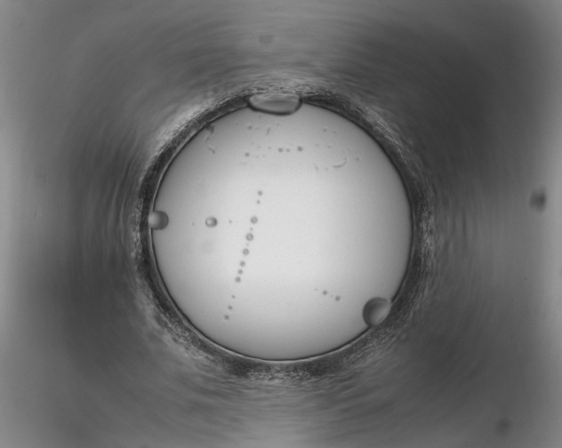 X0000116260679200912211737