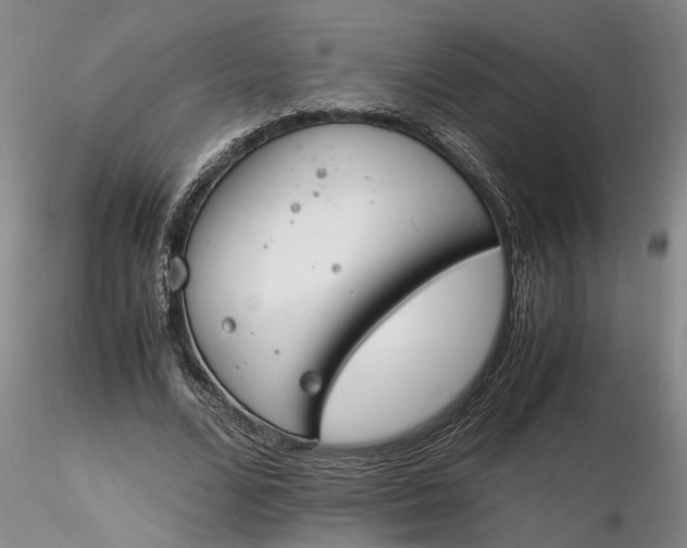 X0000116260680200912211737