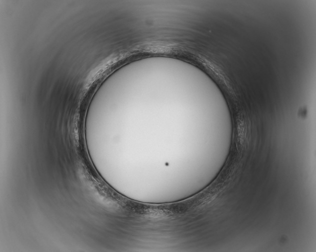 X0000116260682200912211737