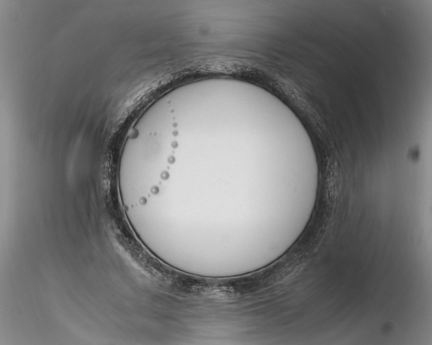X0000116260683200912211737