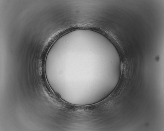 X0000116260684200912211737