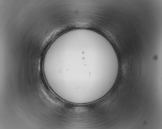 X0000116260686200912211737