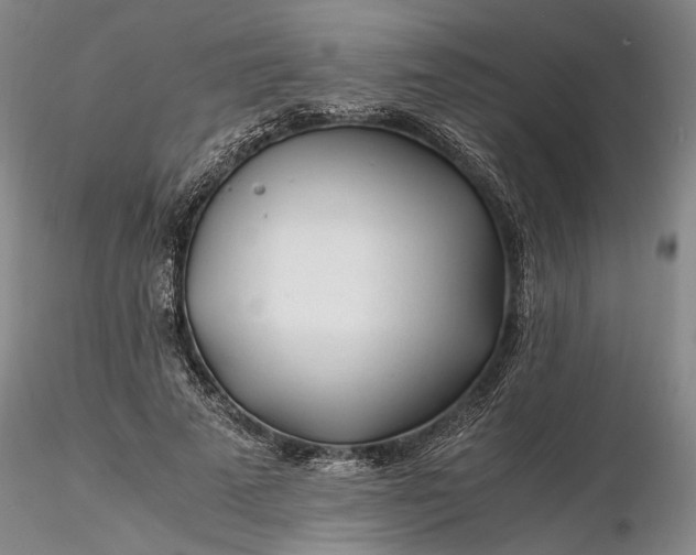 X0000116260689200912211737