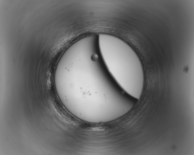 X0000116260692200912211737