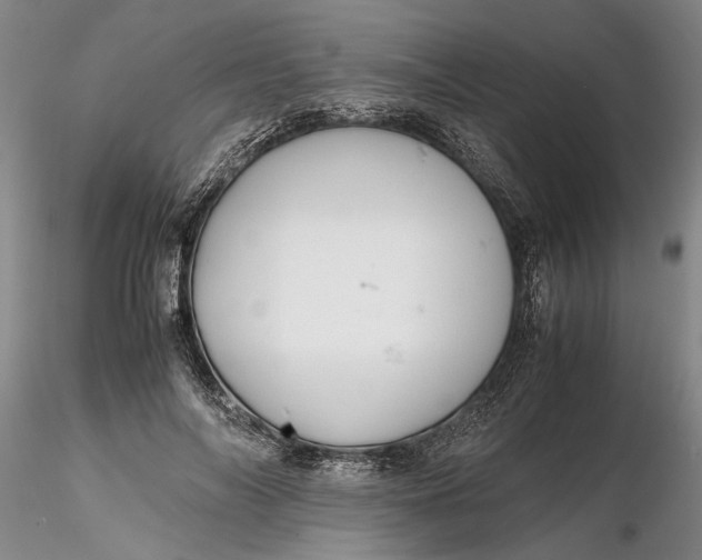 X0000116260694200912211737