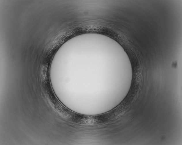 X0000116260695200912211737