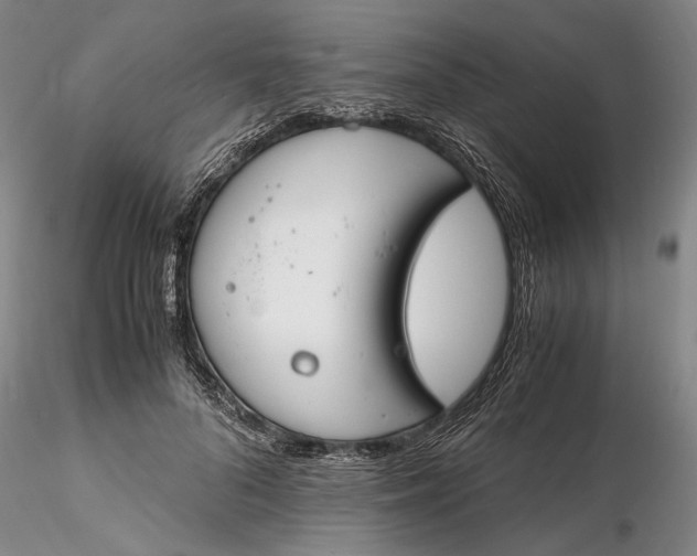 X0000116260696200912211737
