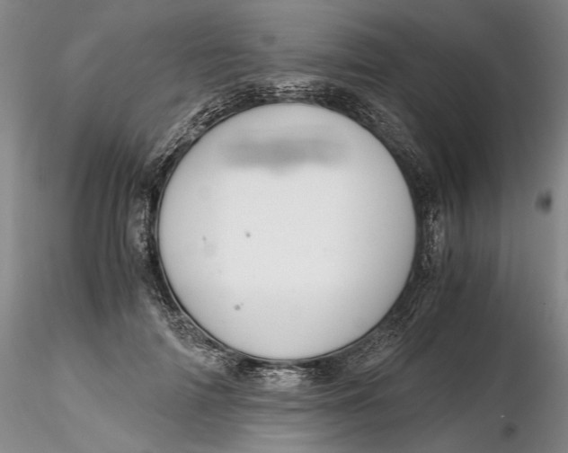 X0000116260698200912211737