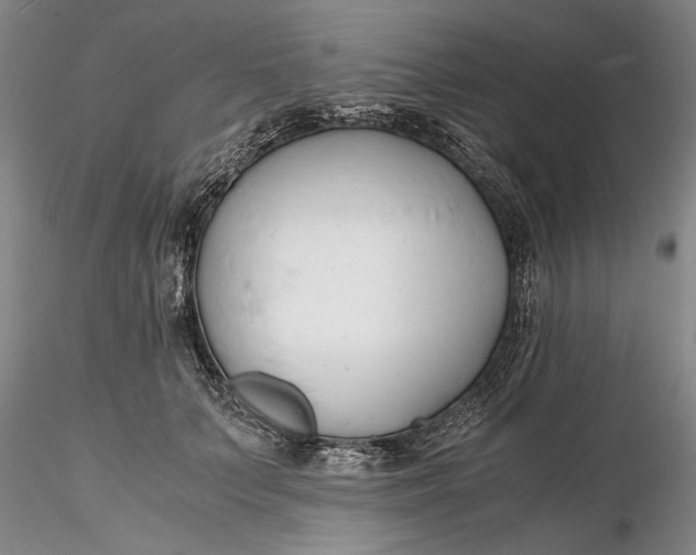 X0000116260703200912211736