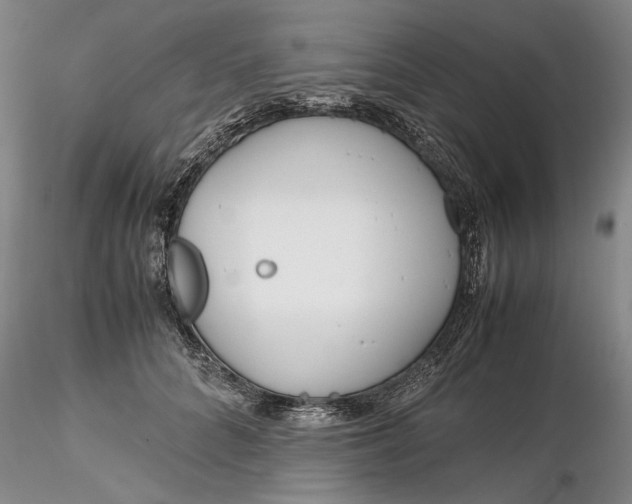 X0000116260704200912211736