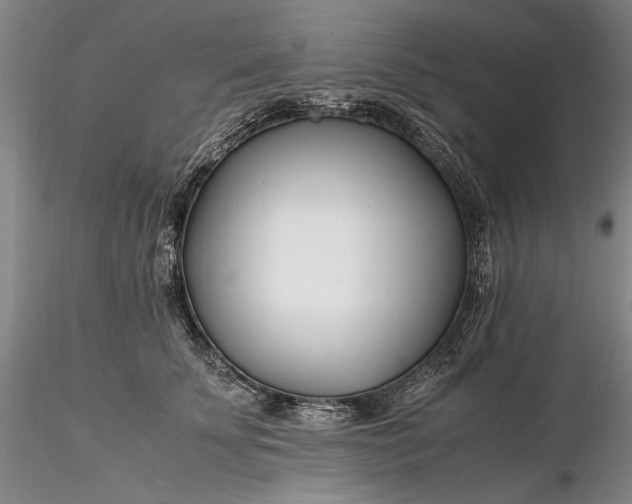X0000116260707200912211736